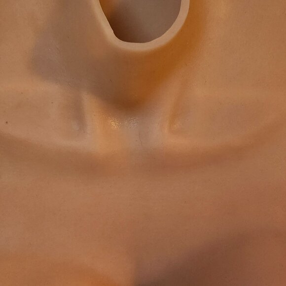 Costume Silicone Breast Form Breast Plate Size D - Picture 6 of 6